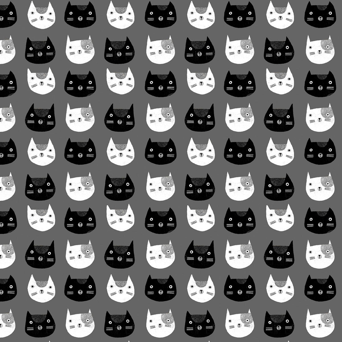 Têtes de chat Cosmo - Anthracite