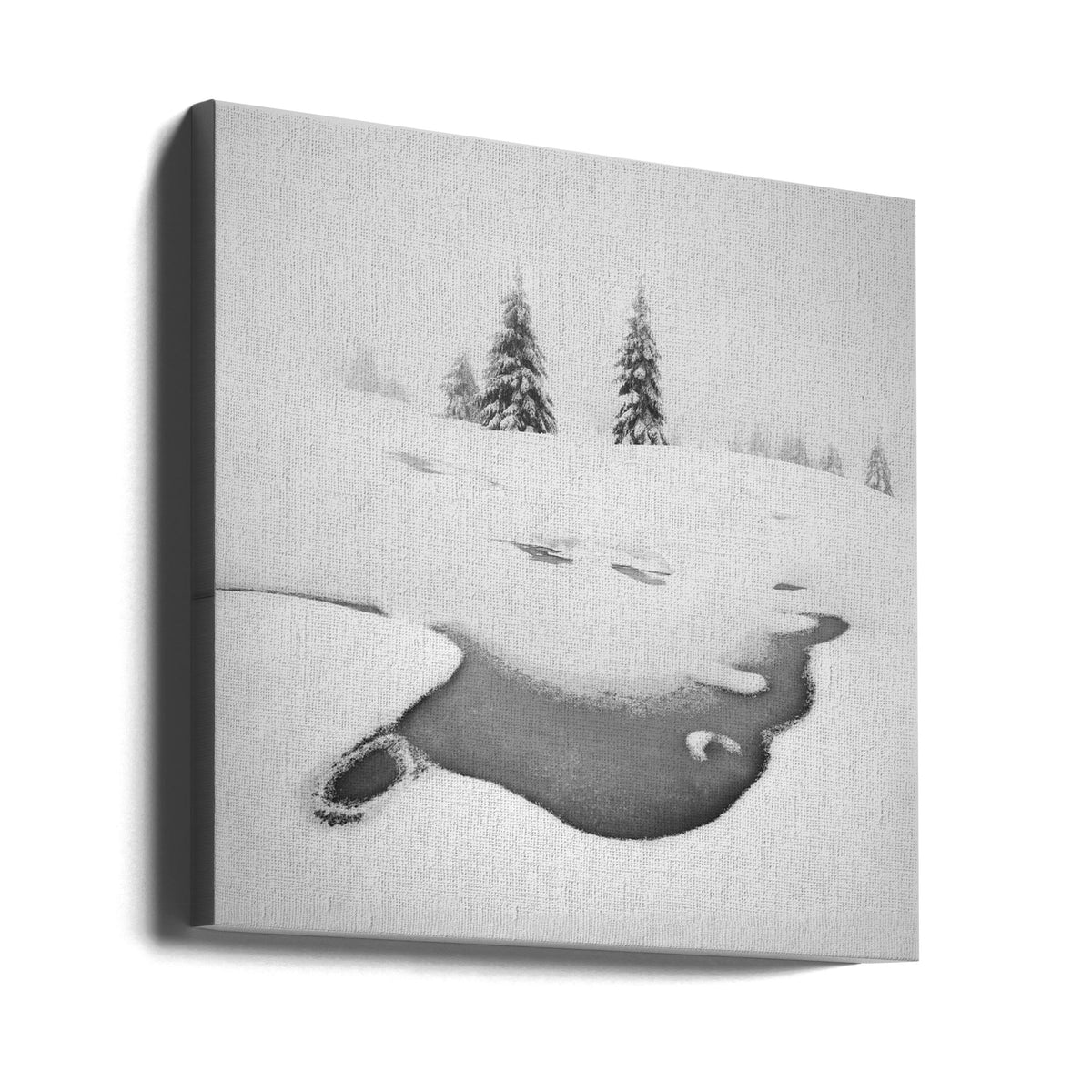 Wall art Frozen swamps