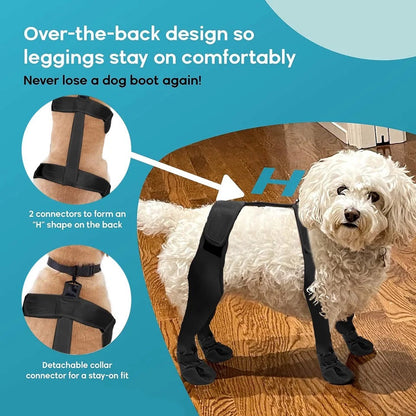 Bottes pour chien