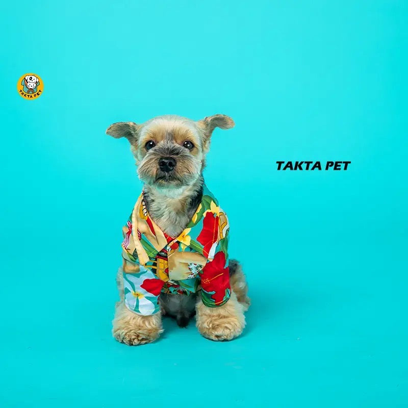 Chemise Takta
