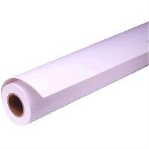 Papier mat de présentation Epson (61 cm x 25 m)S041295