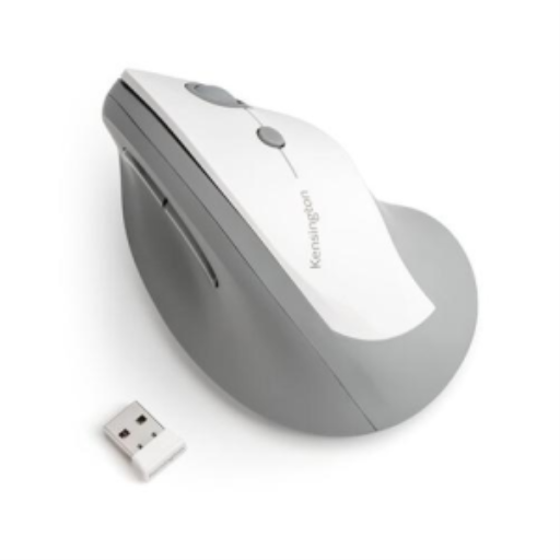 Ergo Vertical Wireless Mouse Grey