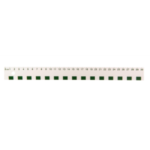 30cm White Plastic Ruler / 
Règle blanche en plastique de 30 cm