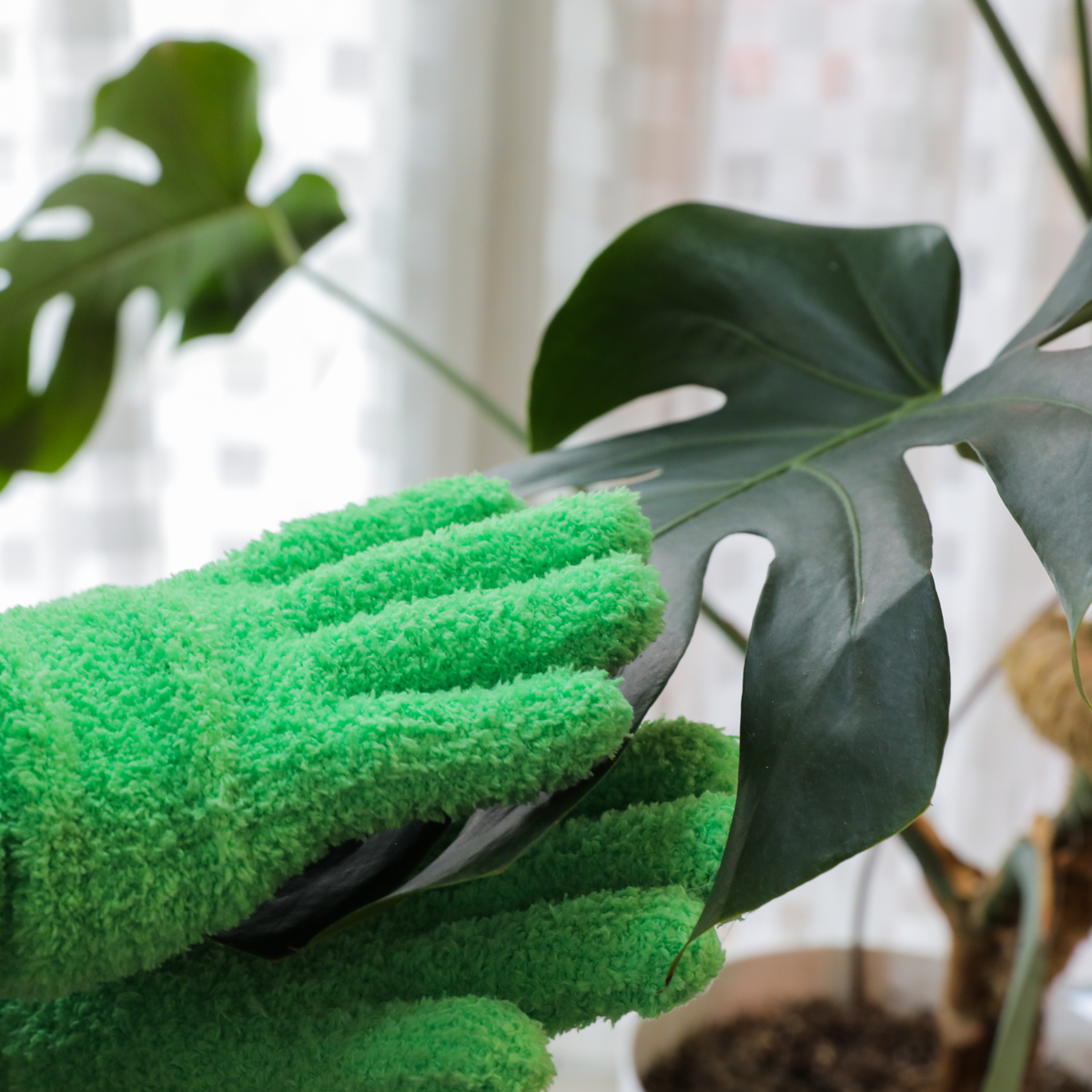 Gants en microfibres Leaf Shining