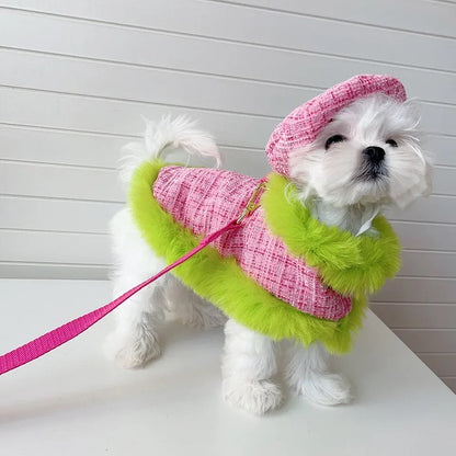 Ensemble Harnais à Carreaux | Ensemble Harnais, Laisse et Chapeau pour Chien