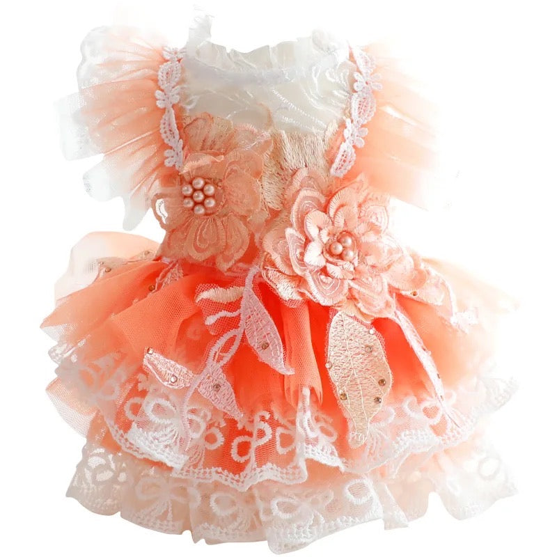 Robe Pêches et Crème