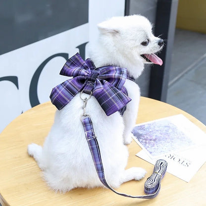 Ensemble harnais et laisse pour chien à carreaux vintage | Tenue de promenade pour chien