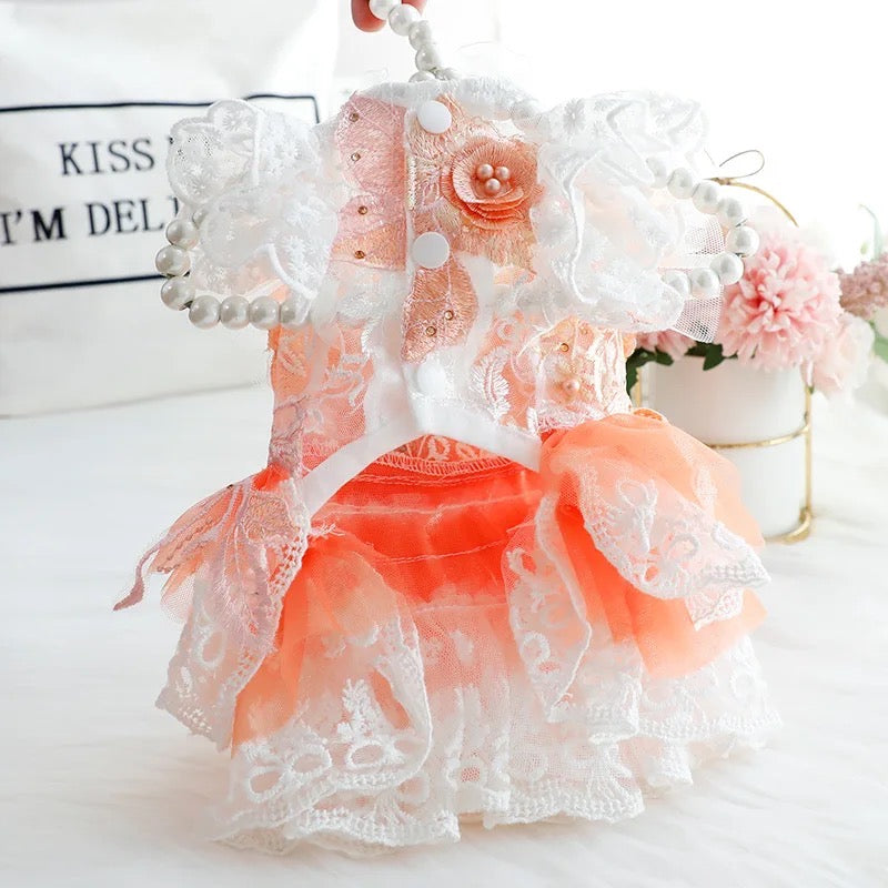 Robe Pêches et Crème