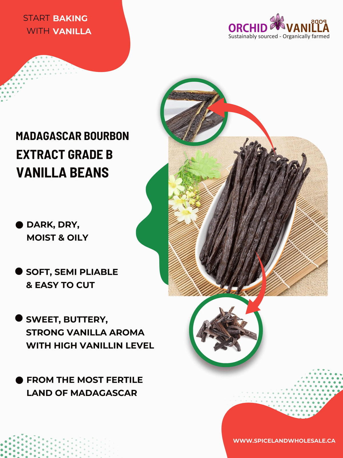 Gousses de vanille de Madagascar Bourbon de catégorie B <br>Pour la fabrication d'extraits<BR>Par quantité