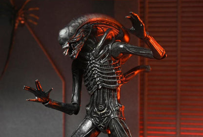 Alien: Romulus Ultimate Xenomorph XX121