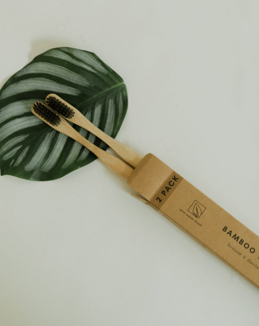 Lot de 2 brosses à dents en bambou