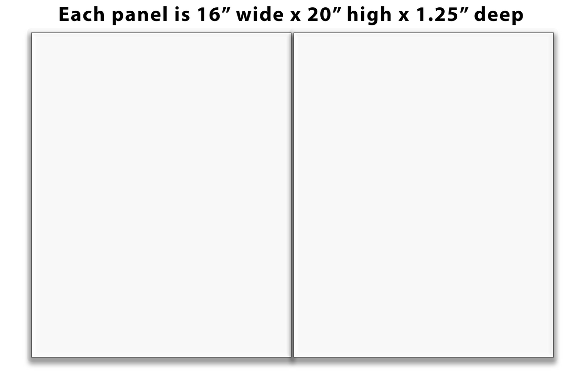 Split Canvas Prints Diptych 16" x 20" each panel