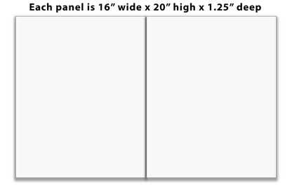 Split Canvas Prints Diptych 16" x 20" each panel