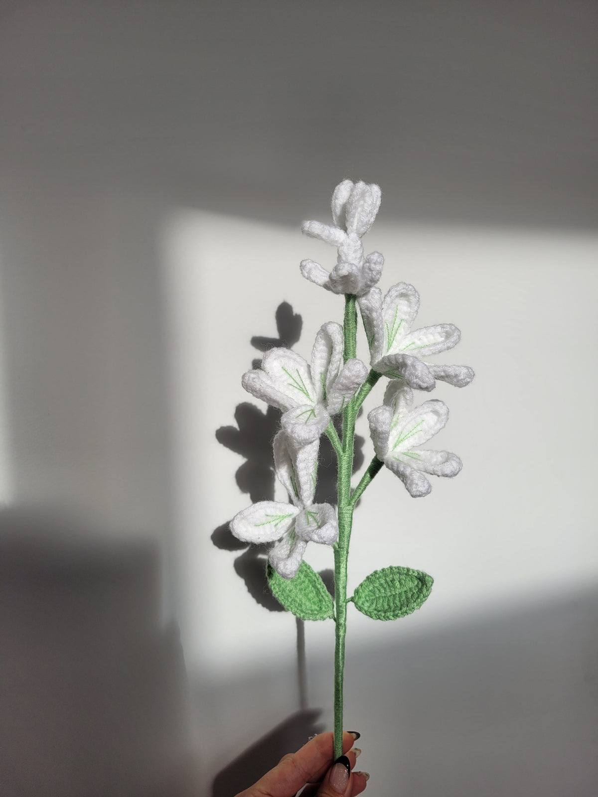 A Branch of Jasmine