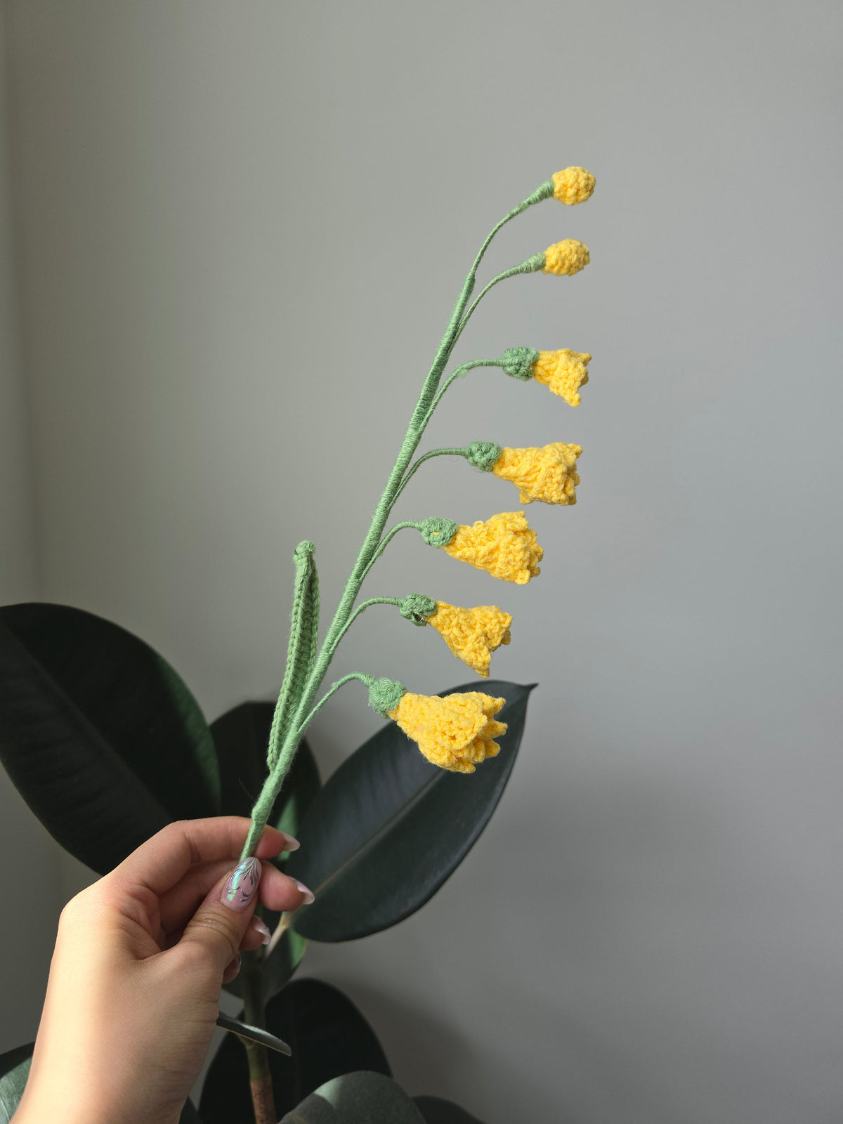 Branche de Freesia