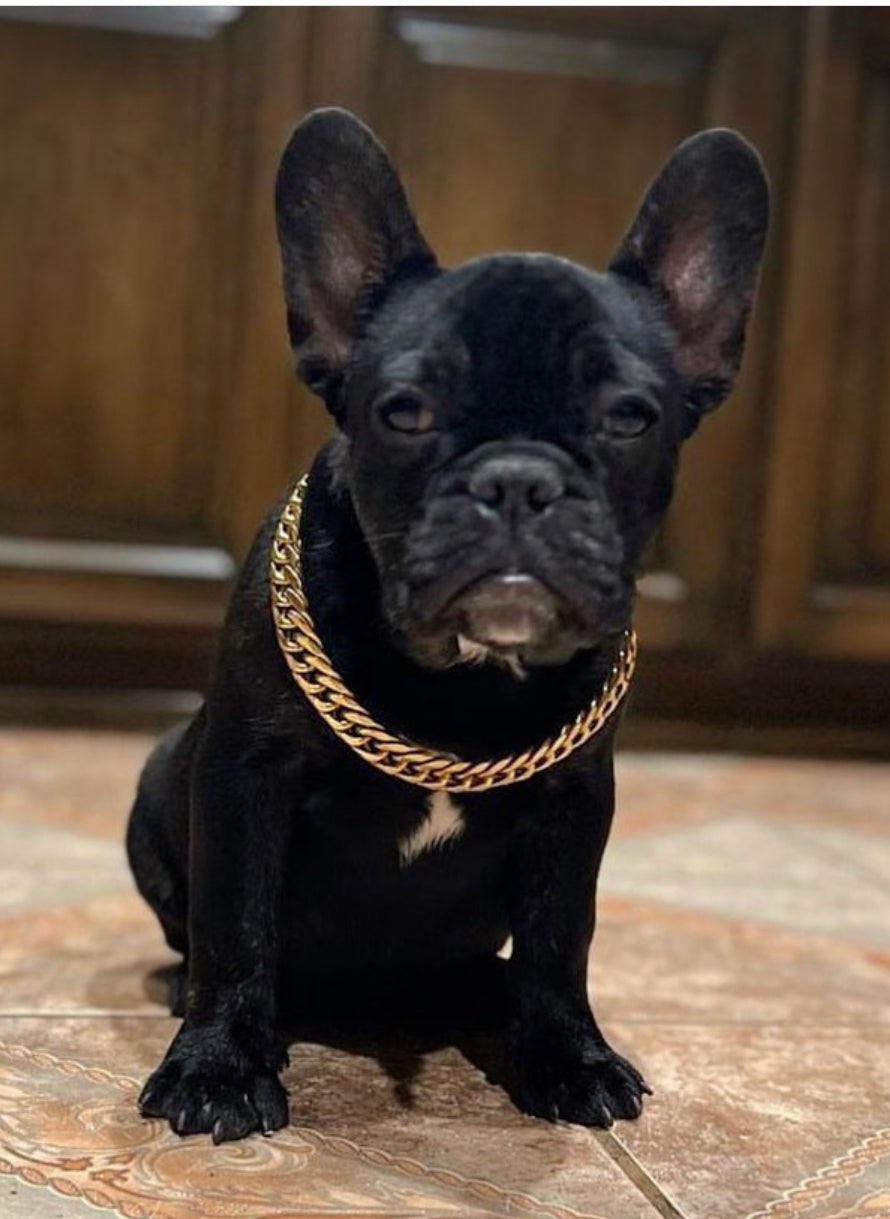 Collier pour chien à mailles cubaines – Accessoire de luxe pour chiens