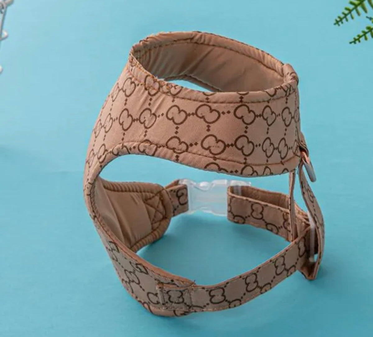 Ensemble Harnais et Laisse Gigi pour chien | Tenue de promenade pour chien