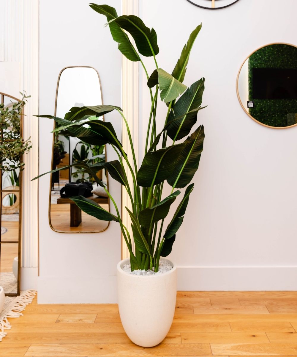 Plante en pot Zapo Oiseau de Paradis Artificiel (Plusieurs Tailles)