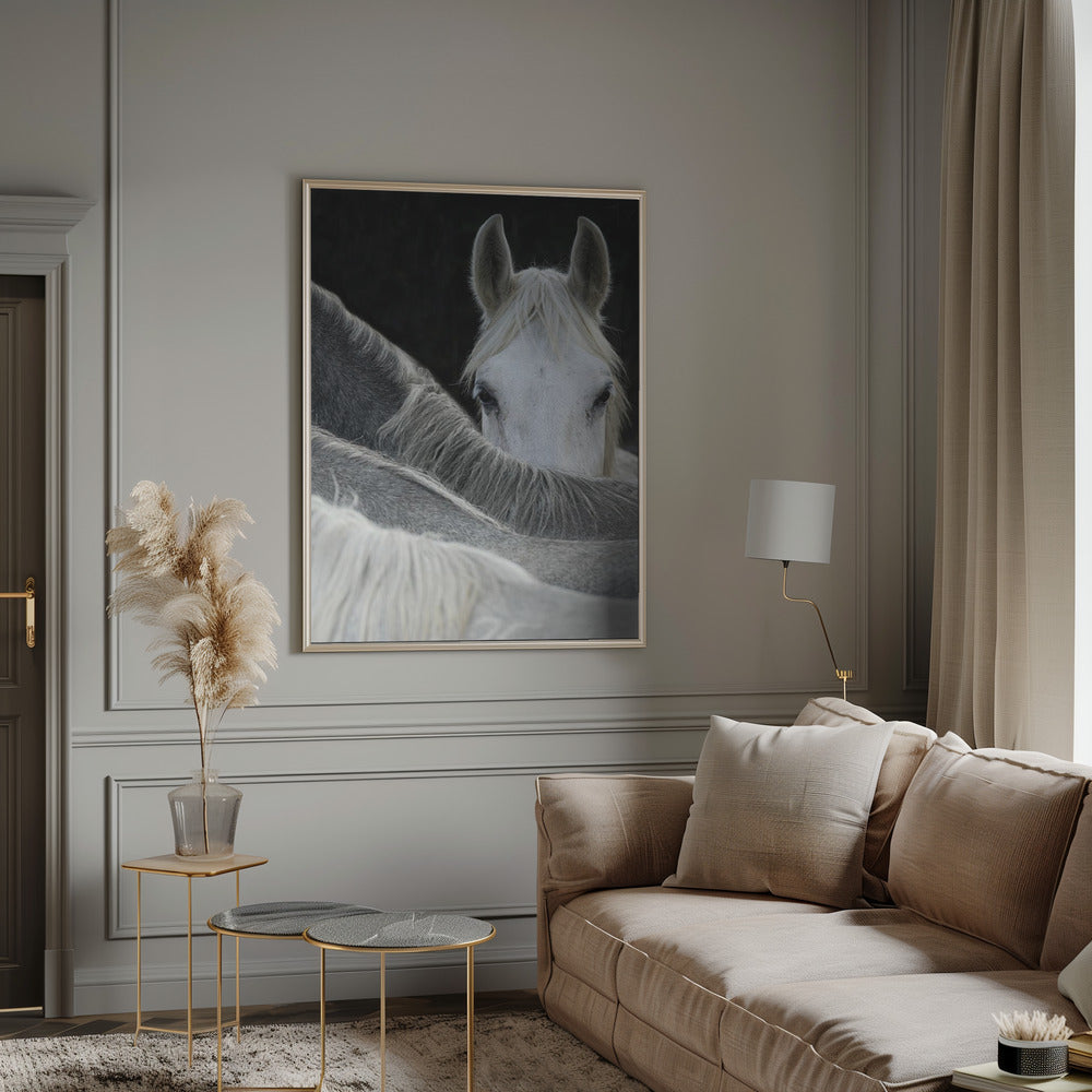 Aspect Décoratif Mural