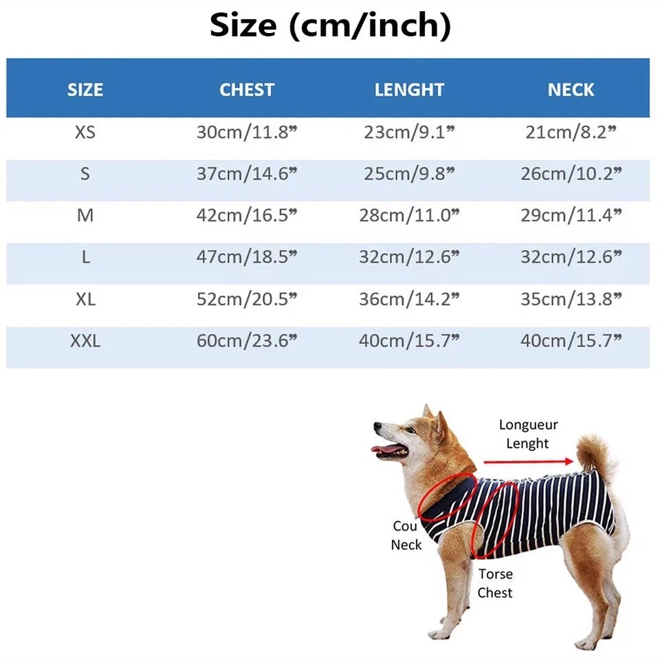 Christian Dogior Sweater – Dog Sweater