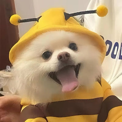 Bumble Bee Dog Costume | Halloween Dog Costume