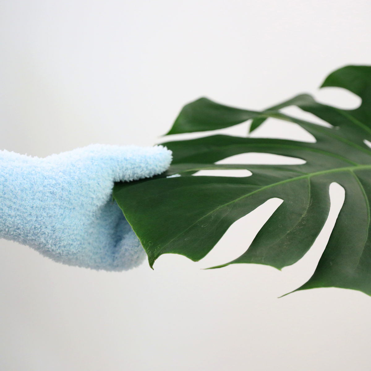 Gants en microfibres Leaf Shining