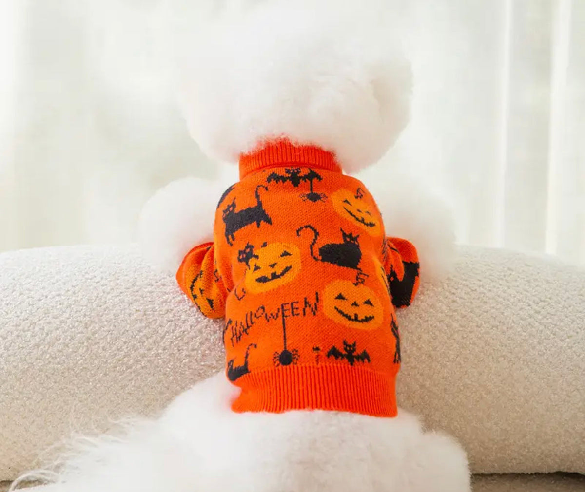Pull chauve-souris citrouille pour chien | Costume d'Halloween pour chien