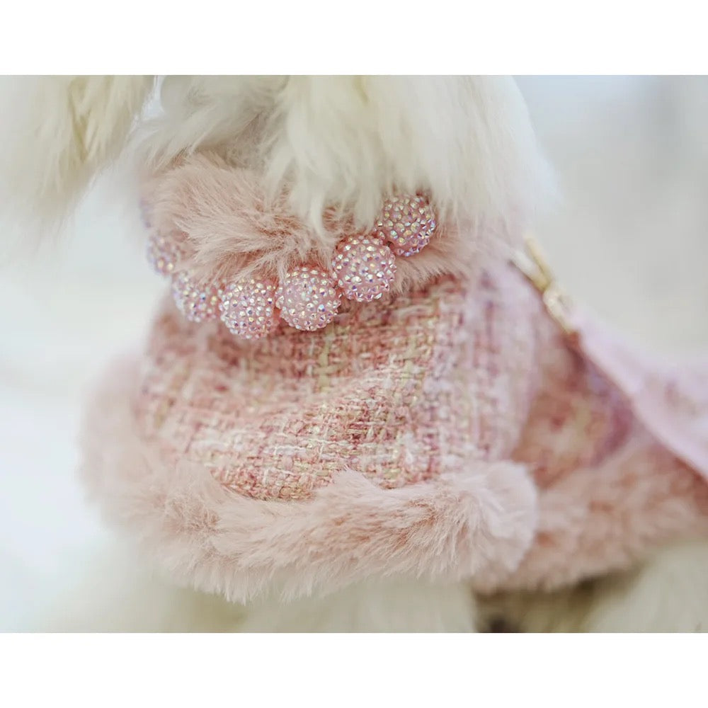 Ensemble pour chien Missy Baby en tweed | Tenue classique coordonnée pour chien