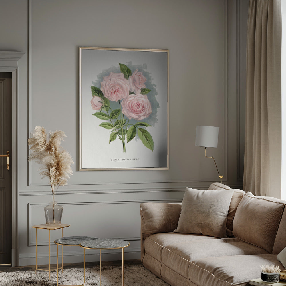 Wall Art Pink Rose, Clothilde Soupert Lithograph