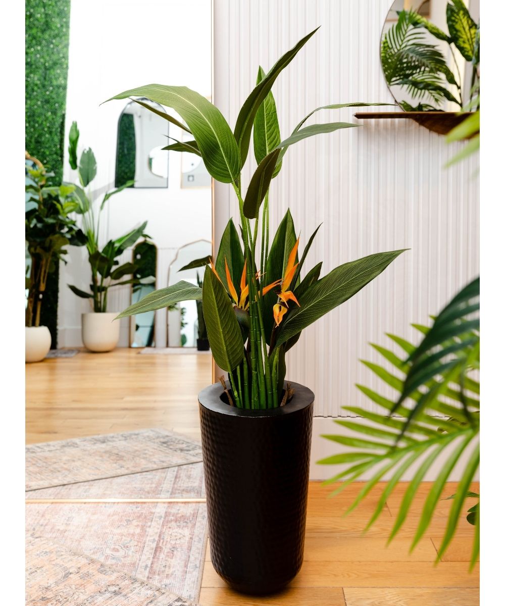 Mesa - Pot de fleurs noir en laiton (plusieurs tailles)