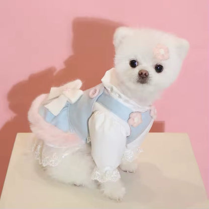 Tenue Lapin de Pâques bleu layette – Ensemble Bonnet de Pâques pour chien