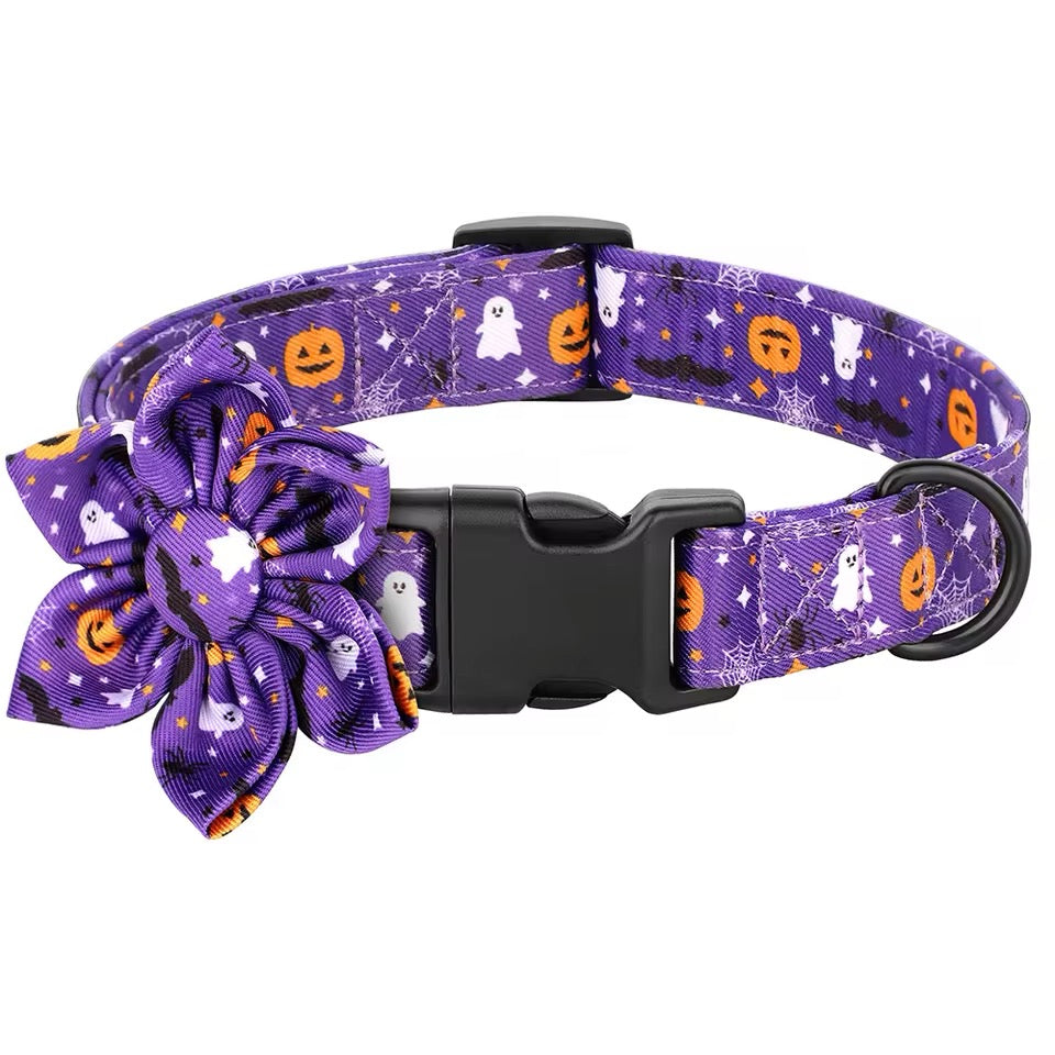 Halloween Dog Collar | Seasonal Dog Collar
