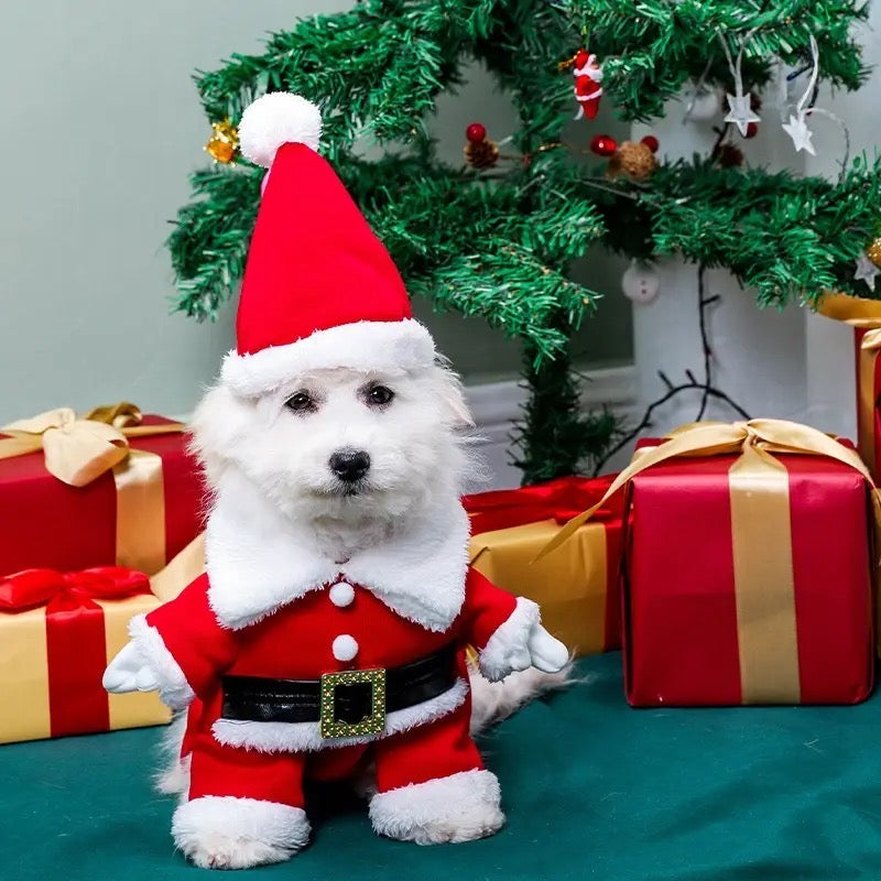 Tenue de chien « Santa Claws Is Coming » | Tenue de Noël pour chien