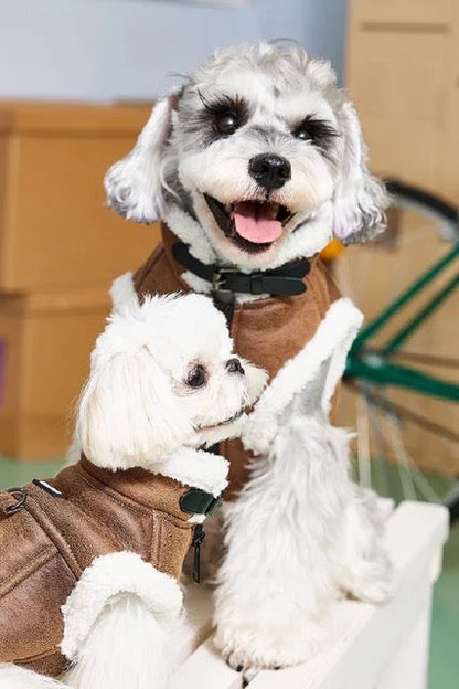 Gilet pour chien Vancouver Street | Veste pour chien classique
