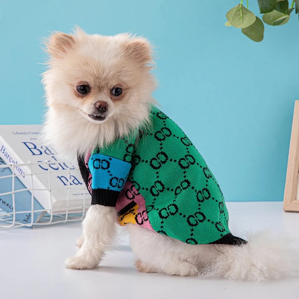 GiGi Rainbow Sweater – Luxury Knit Streetwear for Dogs