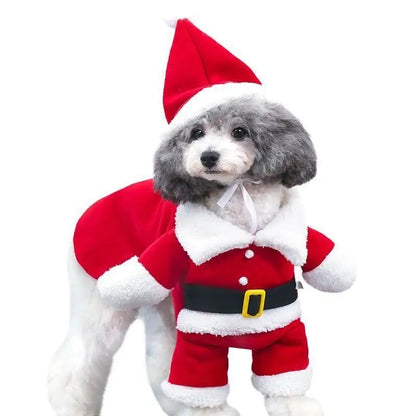 Tenue de chien « Santa Claws Is Coming » | Tenue de Noël pour chien