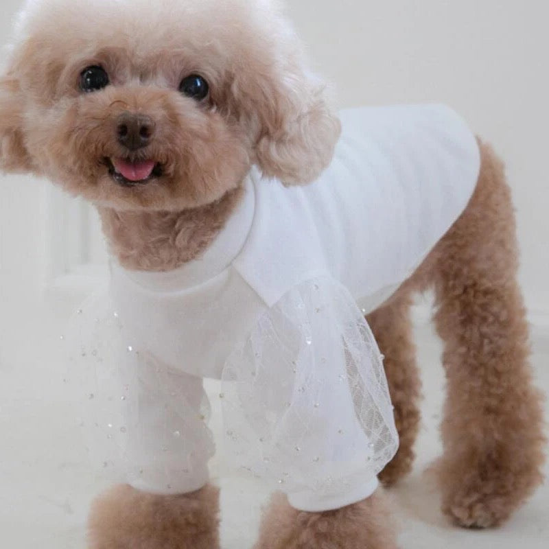Chemisier Chien Conte de Fées | Haut Tendance pour Animaux de Compagnie