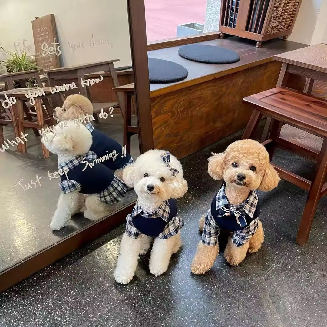 Fiona Set – Luxury Plaid Outfit Set for Dogs