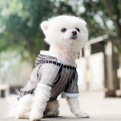 T-shirt Jackson pour chien | T-shirt pour chien à rayures transparentes