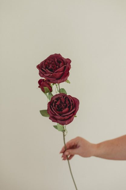 Grande tige de rose