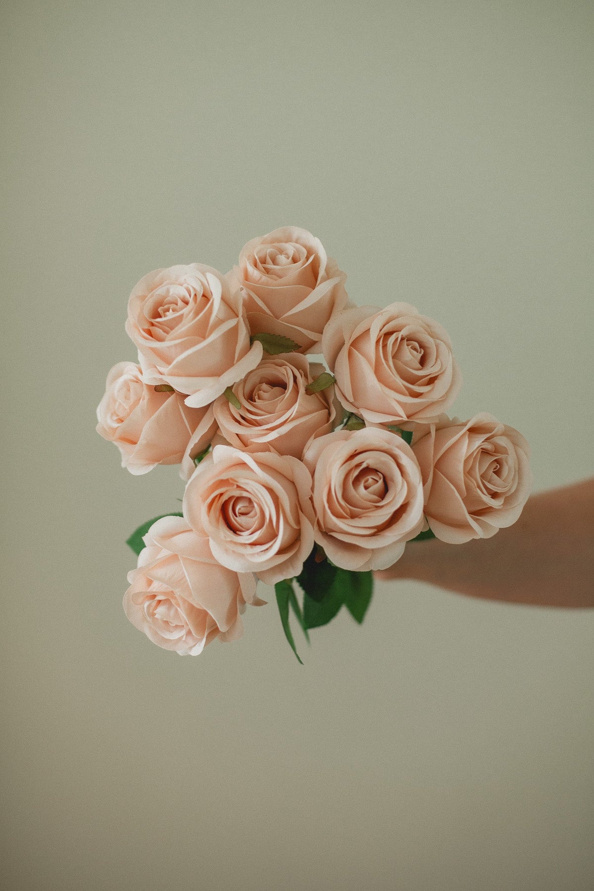 Bouquet de roses fraîches