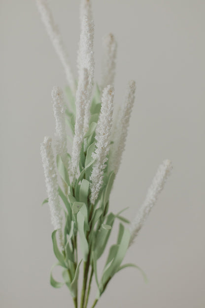 Fleurs d'amarante