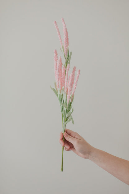 Fleurs d'amarante