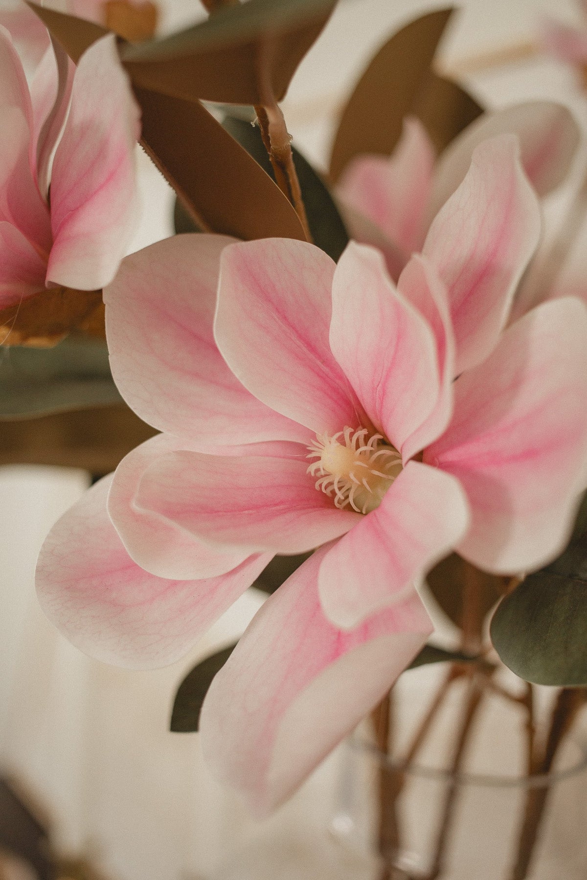Magnolia "Toucher Réel"