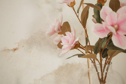 Magnolia "Toucher Réel"