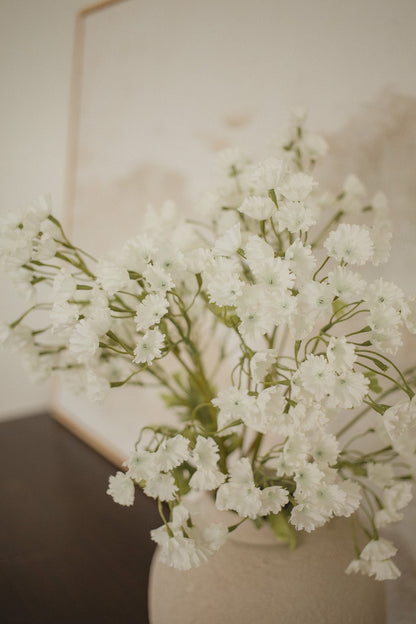 Gypsophile élégant - Souffle de bébé