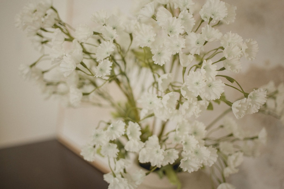 Gypsophile élégant - Souffle de bébé
