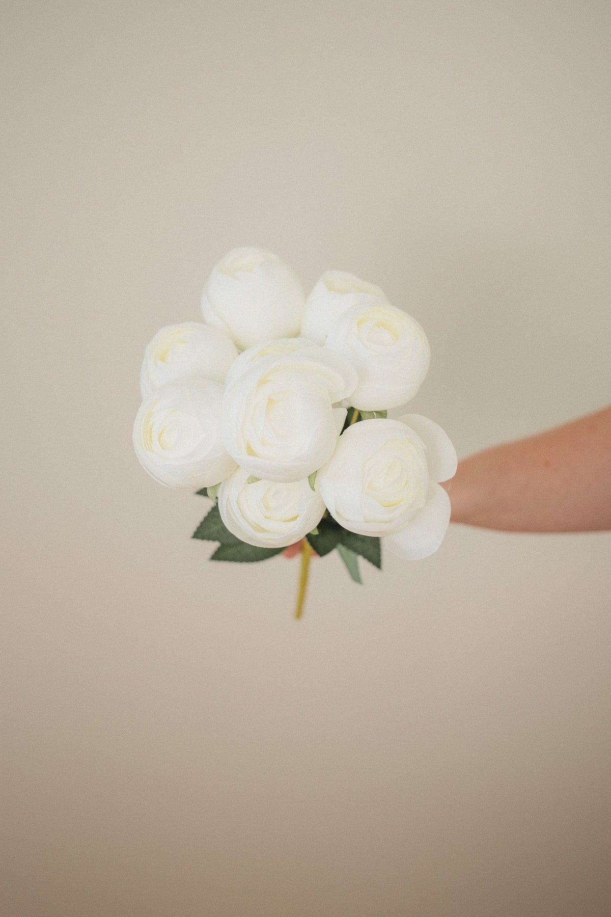 Ensemble Pivoine Parfaite
