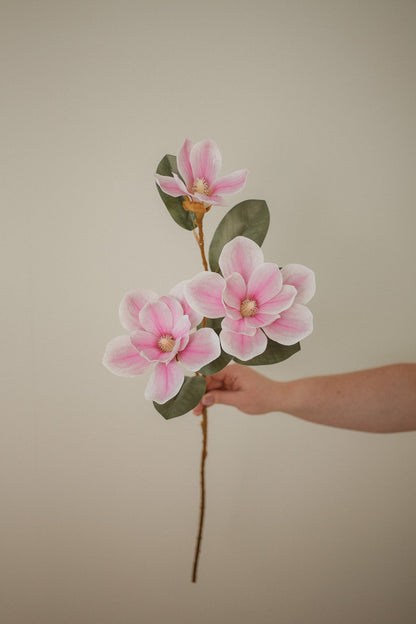 Magnolia "Toucher Réel"