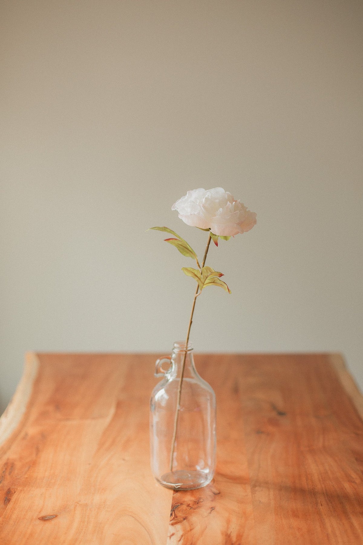 Grande Pivoine